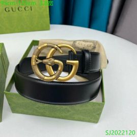 Picture of Gucci Belts _SKUGucciBelt38mmX95-125CM7D3043332